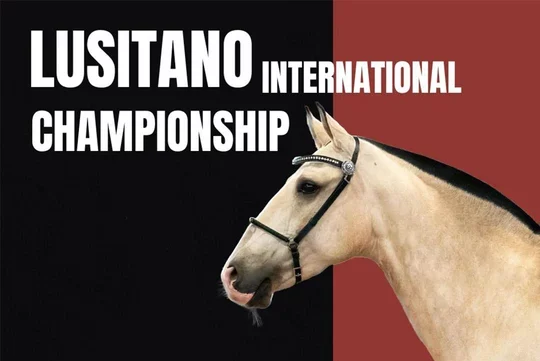Lusitano International Championship